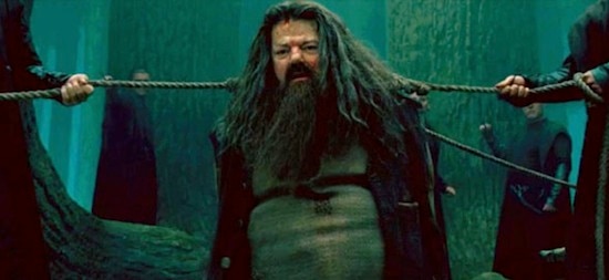 hagrid-harry-potter-and-the-deathly-hall